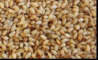Roasted sesame seeds