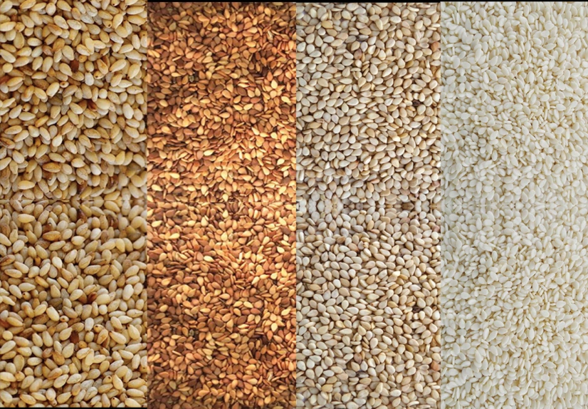 Four varieties of sesame seeds from the Black House brochure
